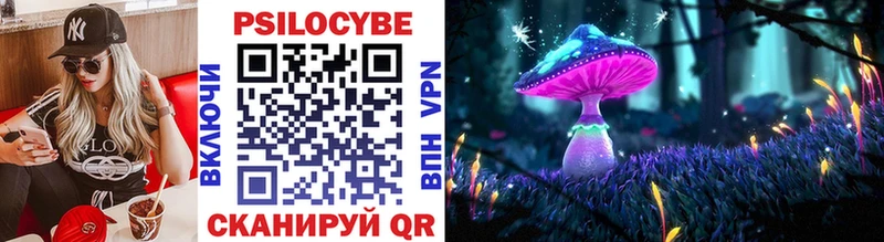 Псилоцибиновые грибы GOLDEN TEACHER ОМГ ОМГ онион Мещовск